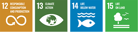 RESPONSIBLE CONSUMPTION AND PRODUCTION CLIMATE ACTION LIFE BELOW WATER LIFE ON LAND