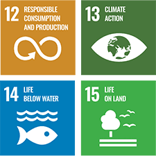 RESPONSIBLE CONSUMPTION AND PRODUCTION CLIMATE ACTION LIFE BELOW WATER LIFE ON LAND